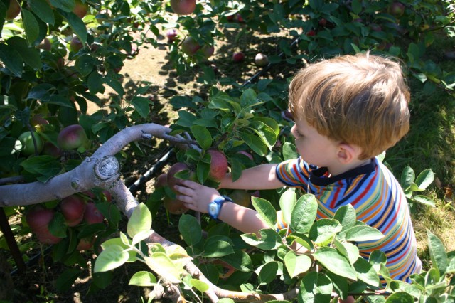 Click for original image 393k 1229x819